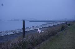 DSC09809