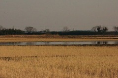 DSC07119