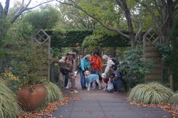 DSC00023