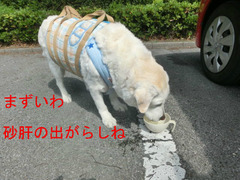BlogPaint