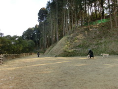 2012年1月29日 006