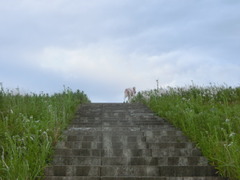 CIMG0714