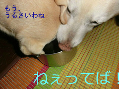 BlogPaint