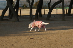 DSC01605