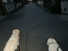 2012年9月16日