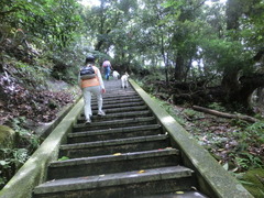 CIMG0294