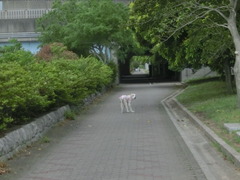 CIMG0702