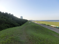 CIMG1291