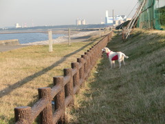 CIMG0443