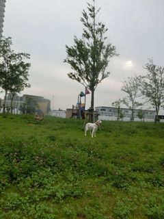CIMG0150