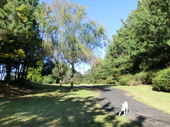 CIMG0761
