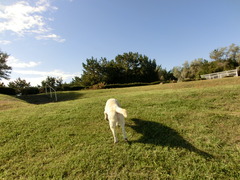 CIMG0794