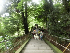 CIMG0284
