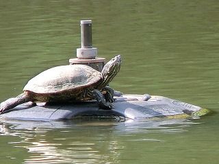12 098