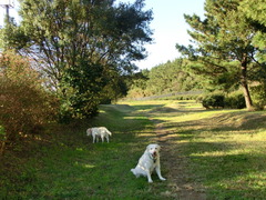 CIMG0737