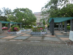 CIMG0754