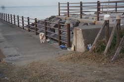 DSC00391