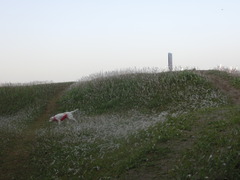 CIMG0505