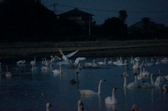DSC07631