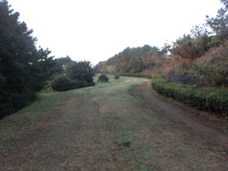 CIMG0159