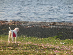 CIMG0544