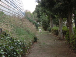 CIMG1301