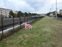 CIMG0424