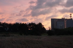 DSC09841