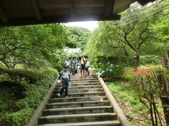 CIMG0305