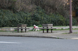DSC00561