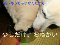 BlogPaint