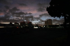 DSC09835