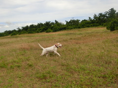 CIMG0382