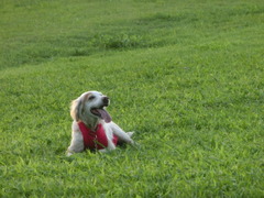 CIMG0397