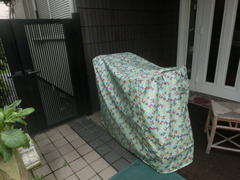 CIMG9097
