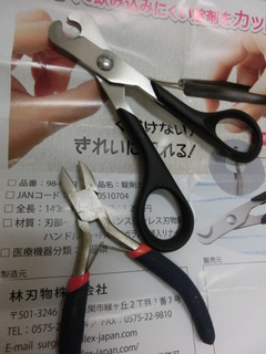 CIMG7936