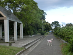 CIMG0751