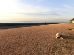 CIMG0375