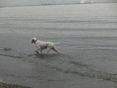 CIMG0062