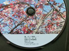 CIMG5431
