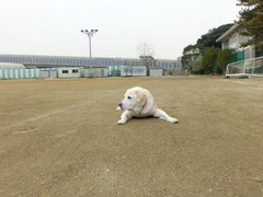2011-12-22 005