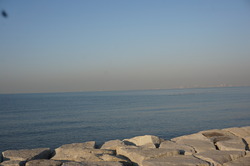 DSC00681