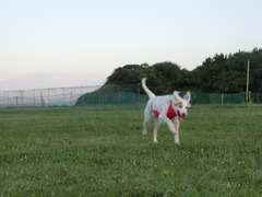 CIMG0172