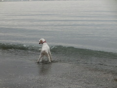 CIMG0059