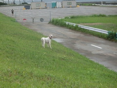 CIMG0078