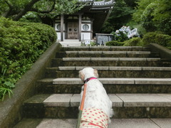 CIMG0279