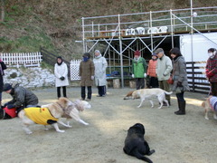 2012年1月29日 012