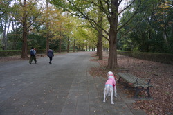 DSC00073