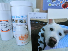CIMG0372