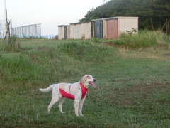 CIMG0082